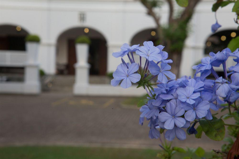 Hotel Tamarind Hill Galle Exterior foto